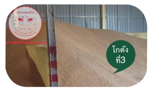 โรงงานผลิตแป้งทำขนมจีนกวางคู่ 